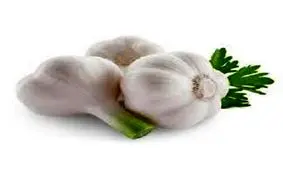 بدبوترین چربی سوز که فورا لاغرتان می کند