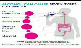 7 سرطانی که الکلی ها دچار می شوند