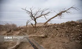 نابودی زندگی کشاورزان جنوب کرمان