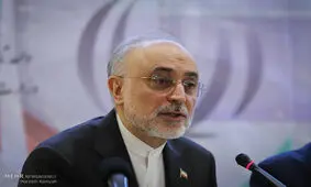 توان تولید انبوه IR۸ را داریم/ همه امور هسته ای را طراحی می کنیم