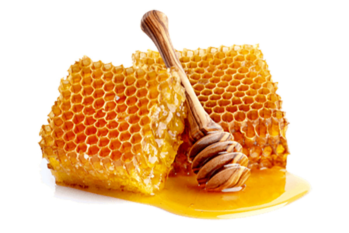 قیمت انواع عسل در بازار