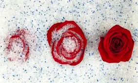 روش‌های خشک کردن گل‌های طبیعی