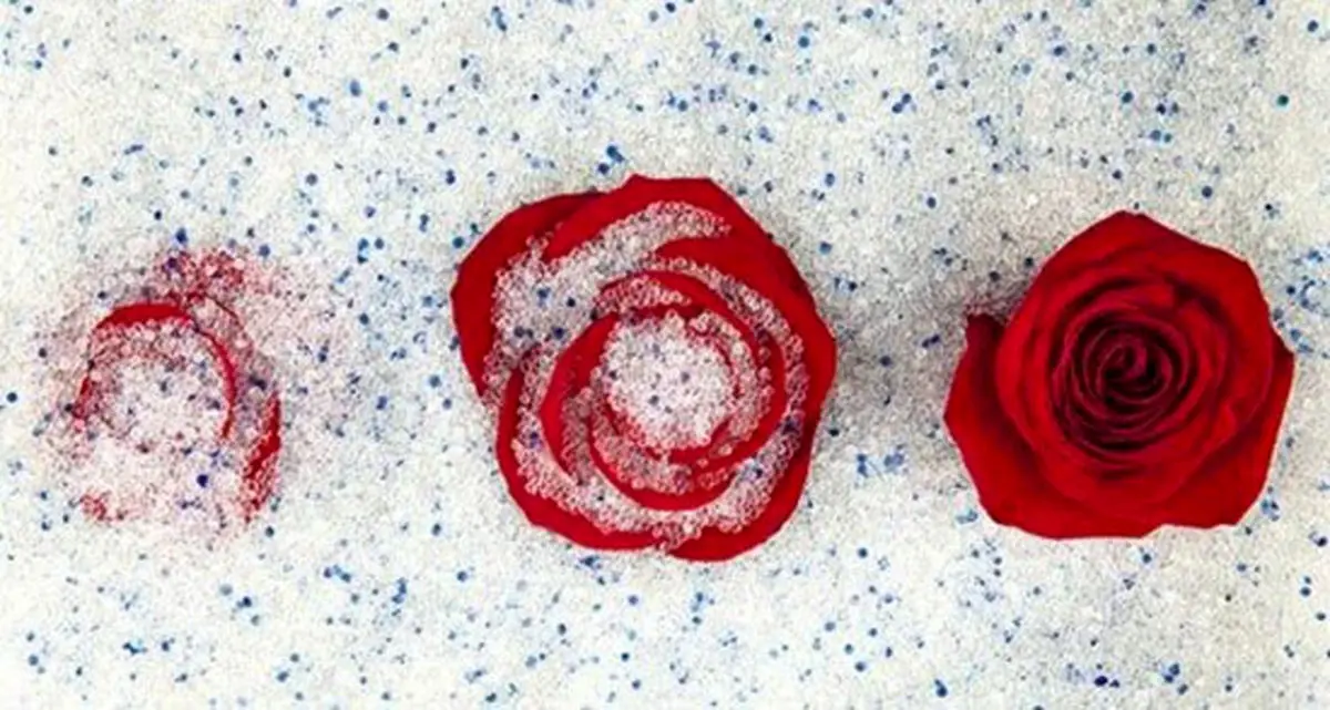 روش‌های خشک کردن گل‌های طبیعی