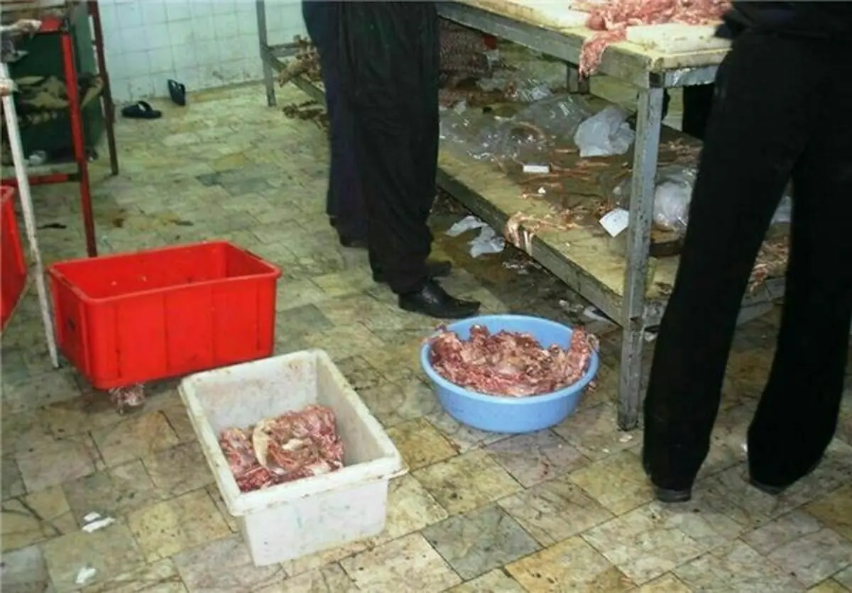 عرضه گوشت سگ در مشهد تکذیب شد