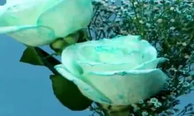 ترفندی برای درست کردن گل چند رنگ