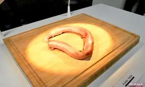 تهوع آورترین موزه از عجیب ترین غذاهای جهان