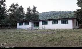 برخی دامداری‌های کهگیلویه و بویراحمد به سالن عروسی تبدیل شده‌اند