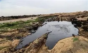 نابودی طبیعت به بهانه مقابله با ریزگردها +تصاویر