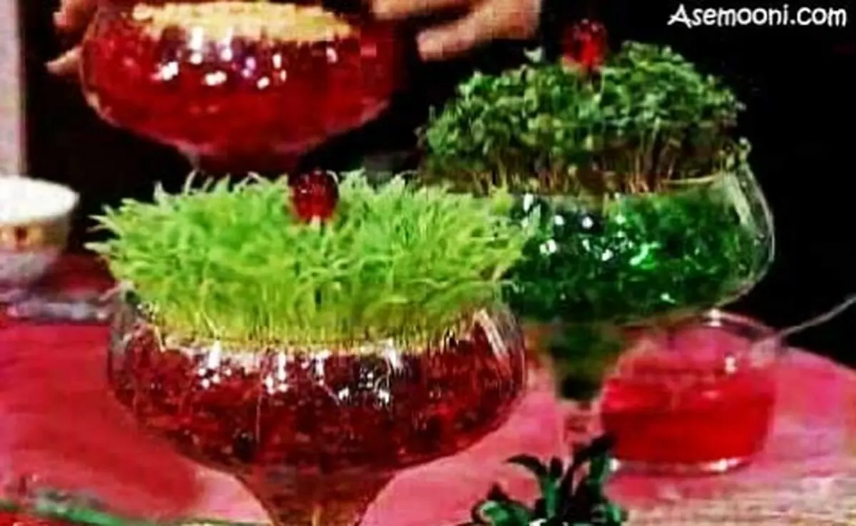 جدیدترین سبزه هفت سین، سبزه با خاک ژله ای