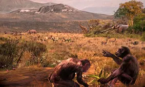 اجداد انسان کجا از "کپی‌های بزرگ" جدا شدند؟