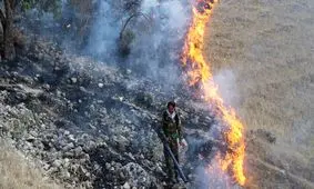 علت آتش سوزی پارک ملی گلستان سهل انگاری مسافران اعلام شد

