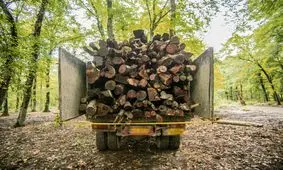 حمله قاچاقچیان چوب به جنگلبانان هیرکانی/ توضیح فرمانده یگان حفاظت منابع طبیعی مازندران/ ویدئو