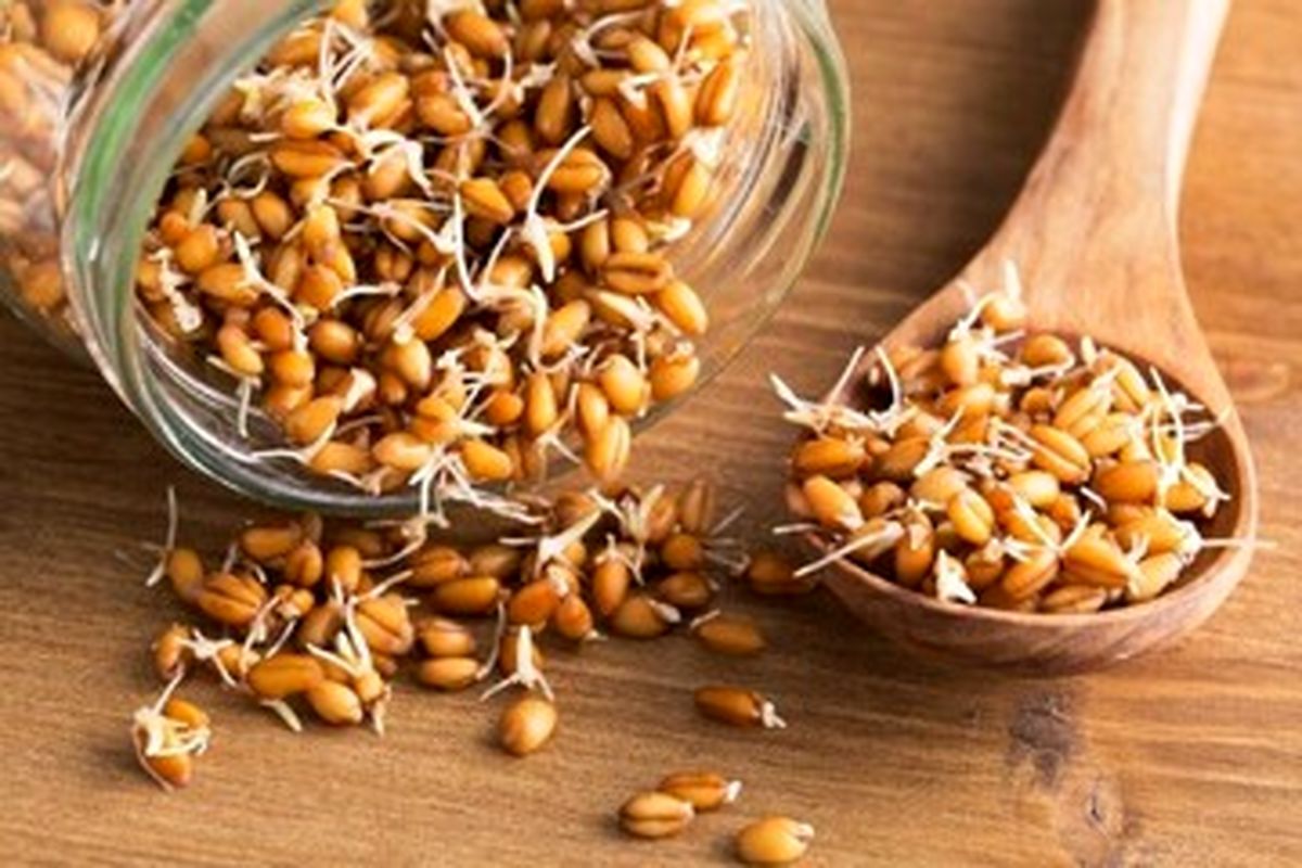 خوراکی که سبب افزایش طول عمر میشود