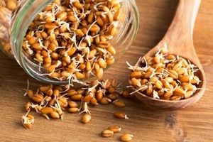 خوراکی که سبب افزایش طول عمر می‌شود