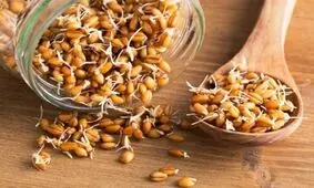 خوراکی که سبب افزایش طول عمر می‌شود