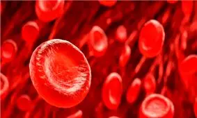 اولین سلول‌های بنیادی خونی پرورش یافته در آزمایشگاه

