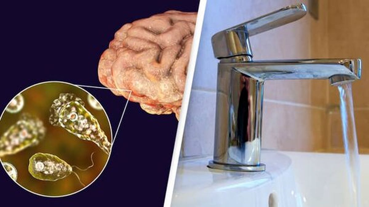 هنگام شستوشوی صورت، مراقب ورود موجودات مغزخوار به بینی خود باشید
