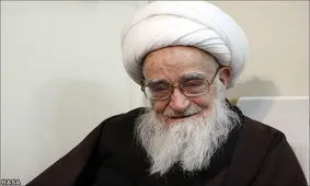 آیت‌‌الله ‌صافی‌گلپایگانی: عاملان شهادت یک کودک معصوم در مدینه از حیوان هم بدتر هستند / چرا حکّام کشورهای اسلامی به ویژه عربستان سکوت می‌کنند؟