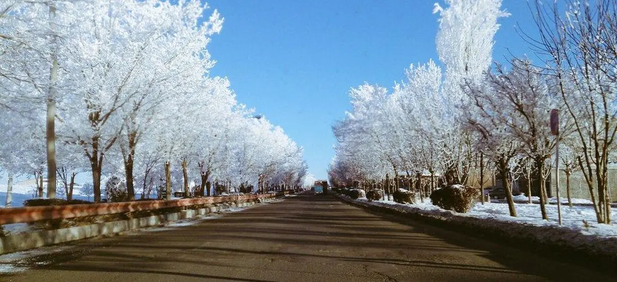 یخبندان درختان در دهگلان کردستان