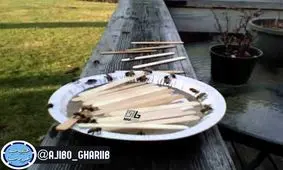 پذیرایی از زنبورها با شکر و آب