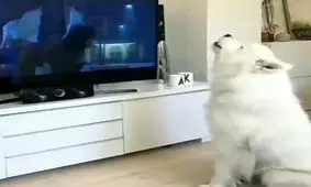 تاثیر مخرب تلویزیون !!!