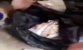 جاسازی مواد مخدر در دنبه گوسفند ! خلاقیت تا کجا !!!