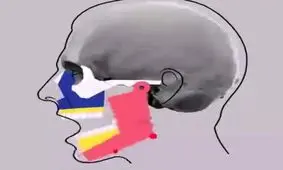 در دوران پیری چه اتفاقی می افتد؟