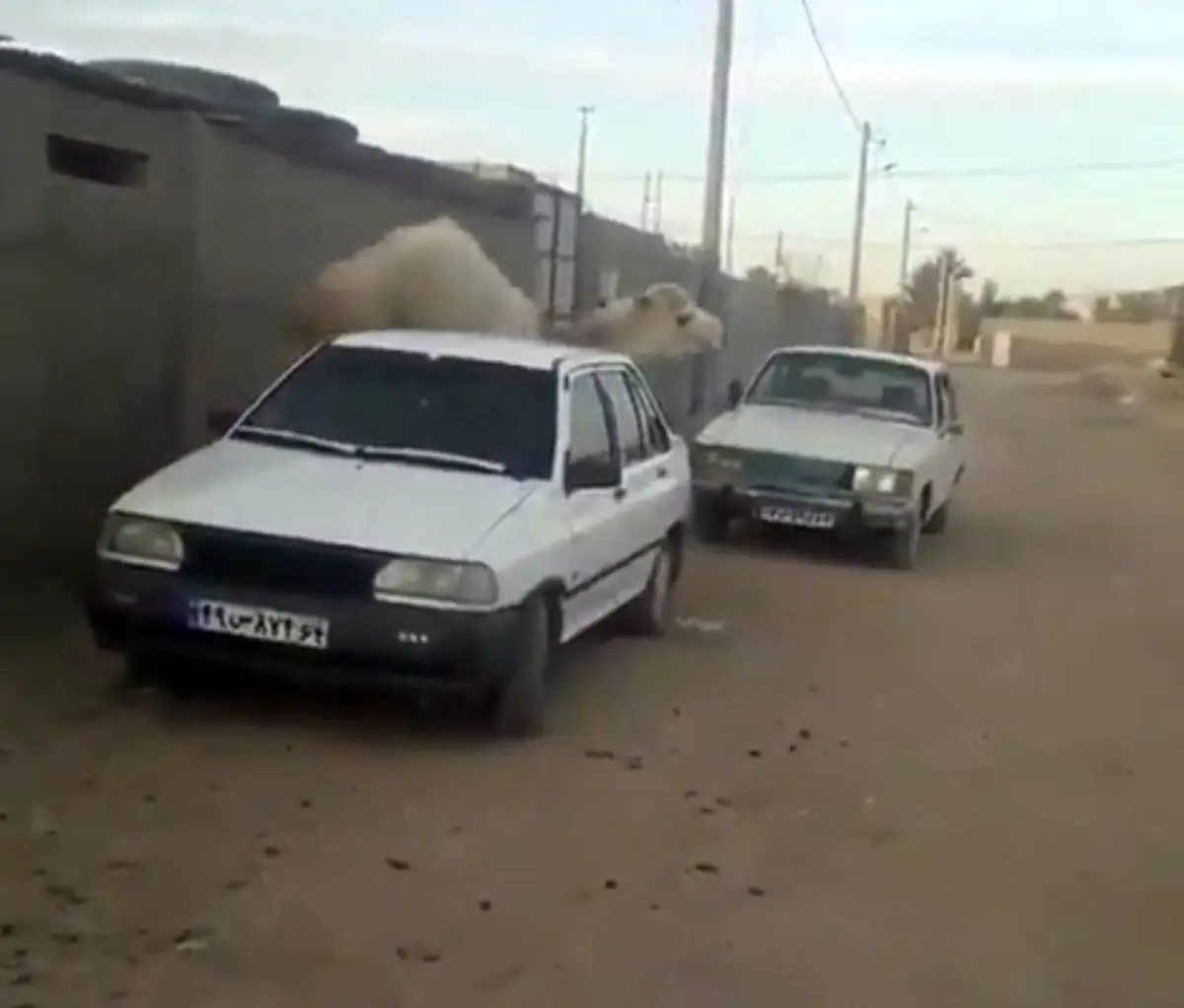 بالاخره پراید جان یک هموطن را نجات داد... سایپا تشکر!