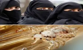 شپش های شما را خریداریم