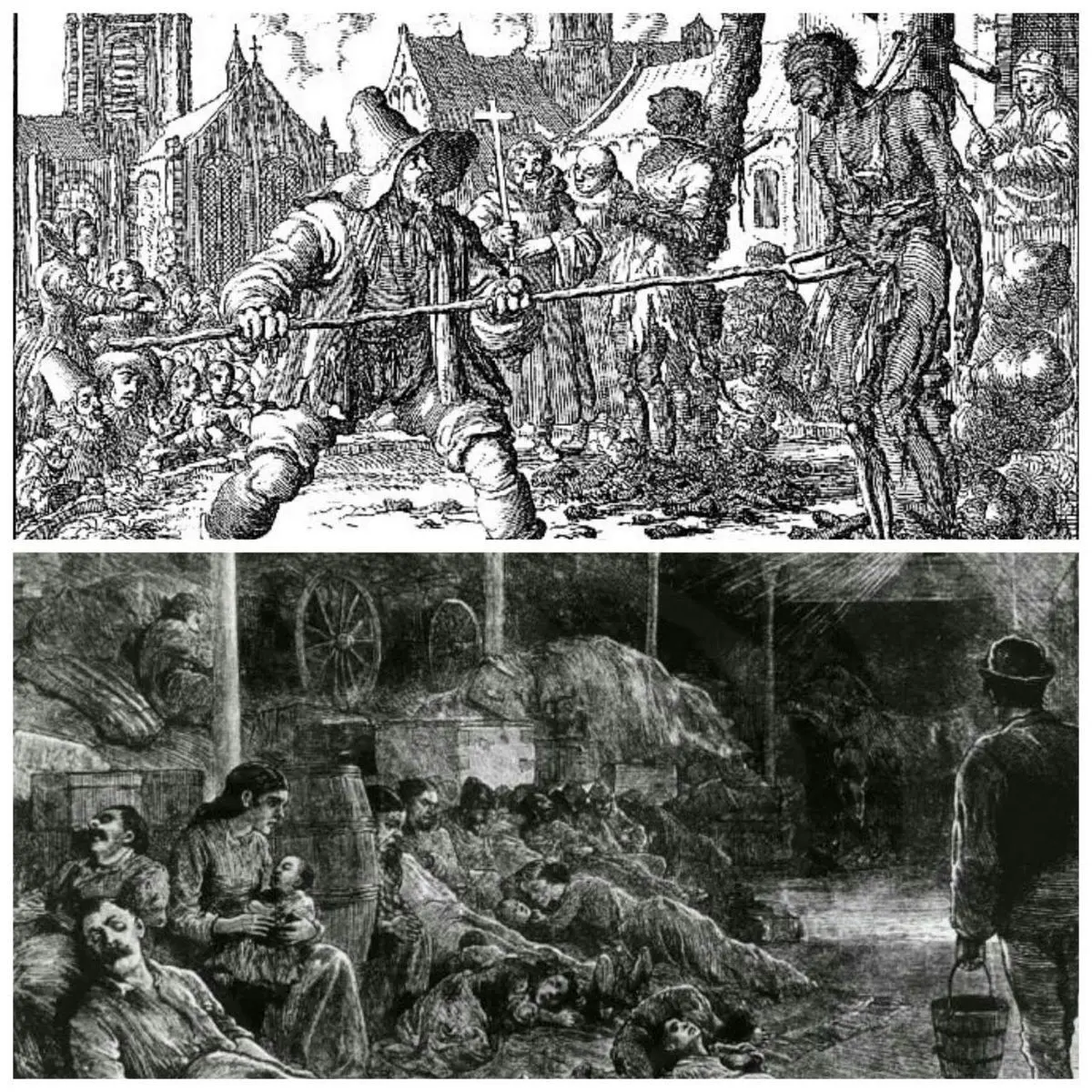 طاعون یهودیان را نمی کشد!