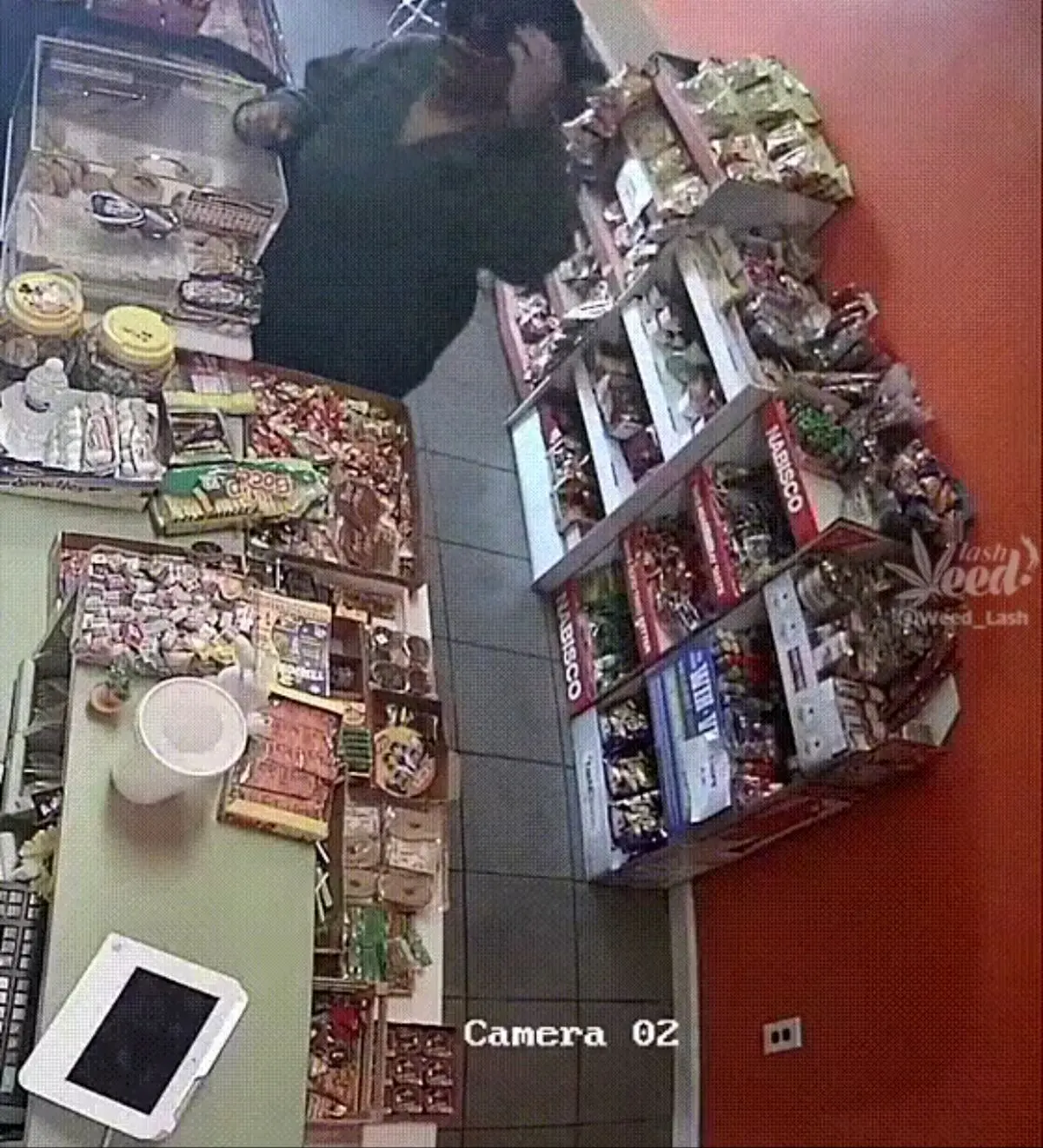 قبل از دزدی حتما رژیم بگیرید