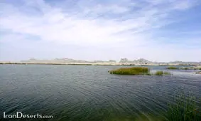 هامون جانی دوباره گرفت/فیلم