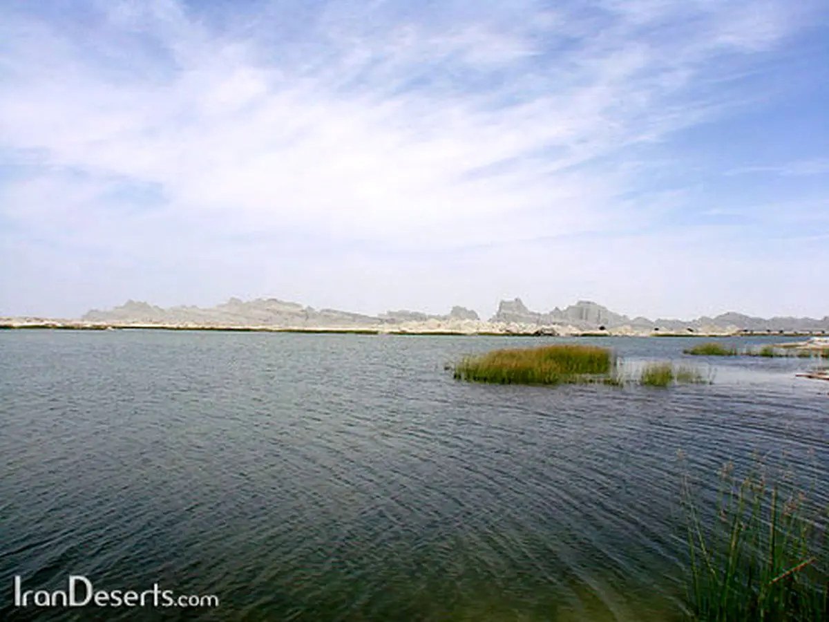هامون جانی دوباره گرفت/فیلم