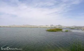 هامون جانی دوباره گرفت/فیلم