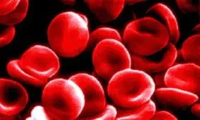 برای بهبود گردش خون چه بخوریم؟