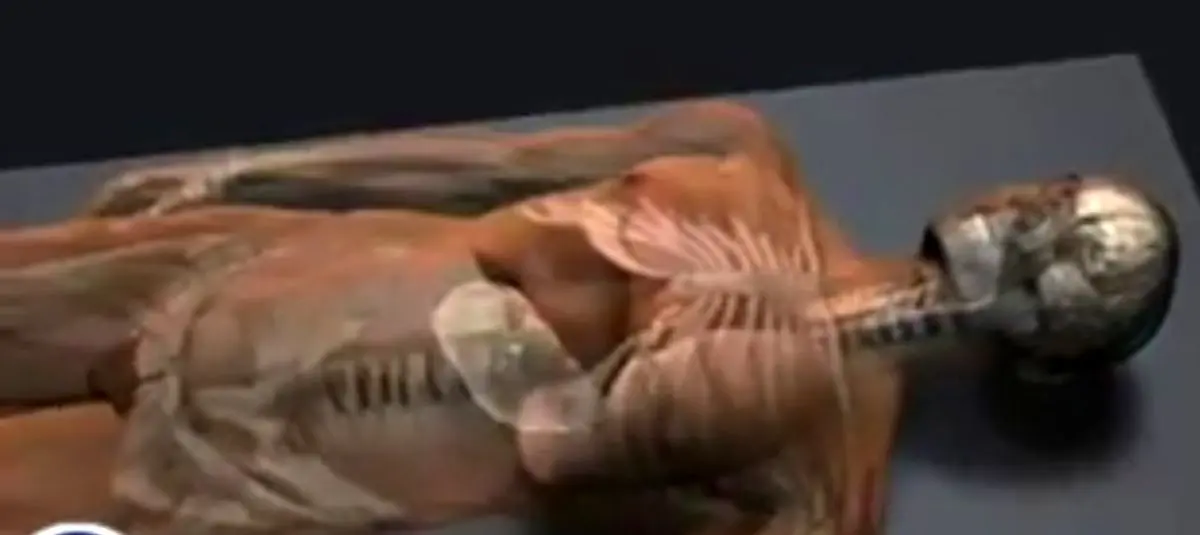 فرآیند مومیایی کردن