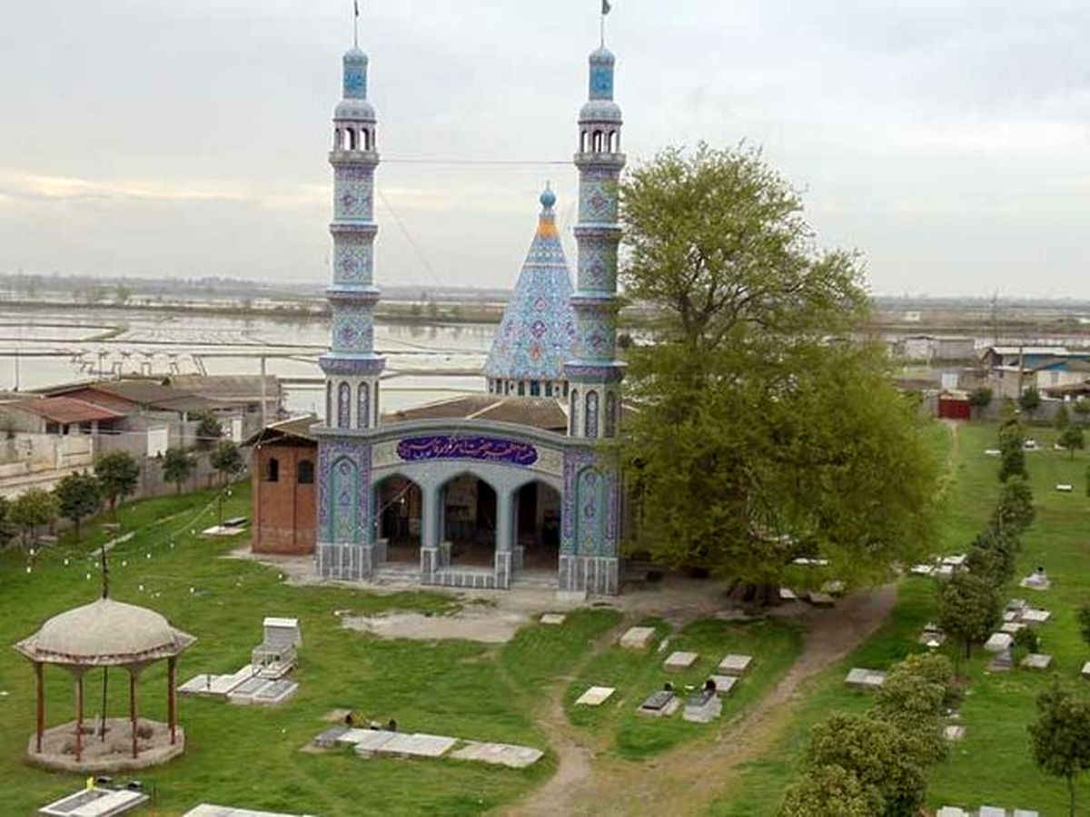 روستایی که عطر برنجش مازندران را پر کرده