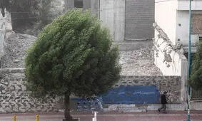 وزش باد شدید زنجان را فرا می گیرد/ کاهش ۵ درجه ای دمای هوا