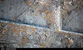 راهکارهای برطرف کردن مشکل گلسنگ در تخت جمشید بررسی می‎شود