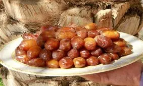 صندوق خرما با مشارکت بخش خصوصی و دولتی راه‌اندازی می‌شود