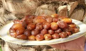 صندوق خرما با مشارکت بخش خصوصی و دولتی راه‌اندازی می‌شود