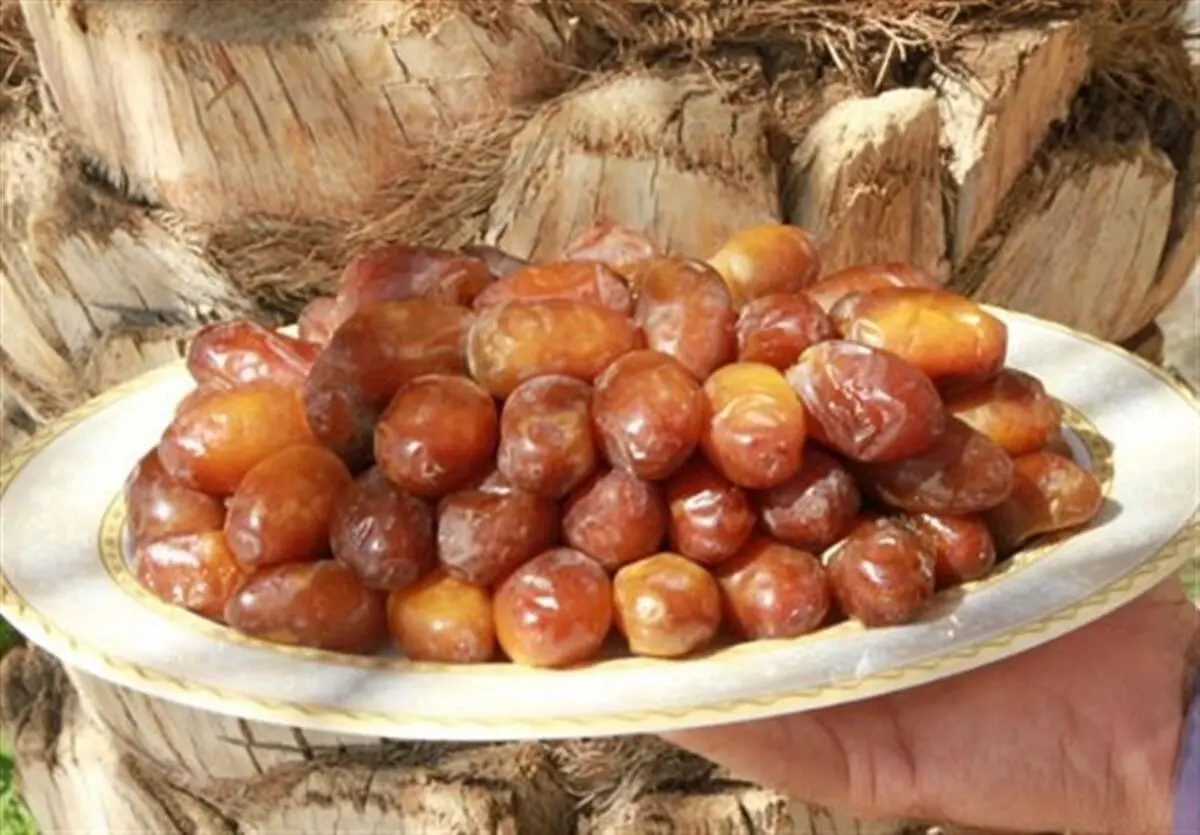 صندوق خرما با مشارکت بخش خصوصی و دولتی راه‌اندازی می‌شود