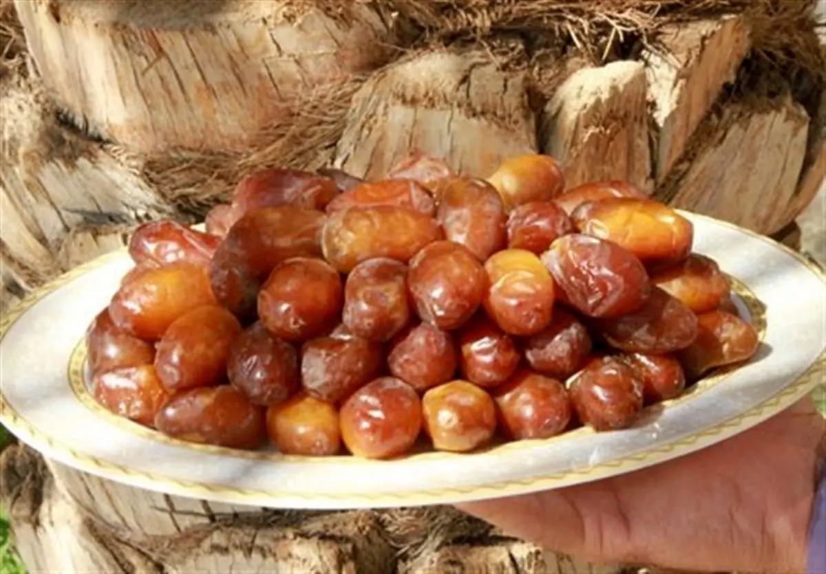 صندوق خرما با مشارکت بخش خصوصی و دولتی راه‌اندازی می‌شود