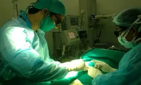 آب آوردن بیضه در کودکان چیست و چه علائمی دارد؟