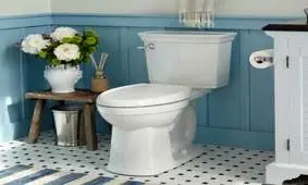 دانستنی ، رازها و حقایق باورنکردنی و جالب در مورد توالت!