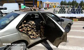 ۲۵ تن چوب قاچاق در مرودشت کشف شد