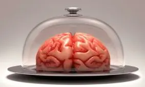 برای جلوگیری از کوچک شدن مغز این خوراکی ها را هر روز بخورید!