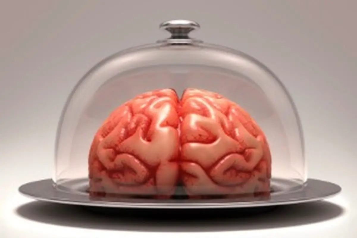 برای جلوگیری از کوچک شدن مغز این خوراکی ها را هر روز بخورید!