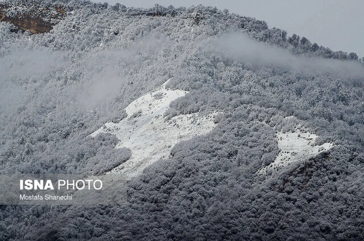 بارش برف در ارتفاعات مازندران