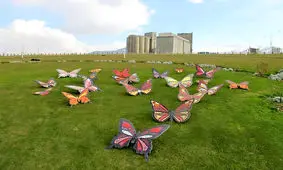 شهرداری نسبت به زیباسازی شهر ایلام اقدام کند